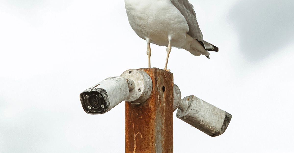 Strategies for Seamless Installation of New CCTV Cameras